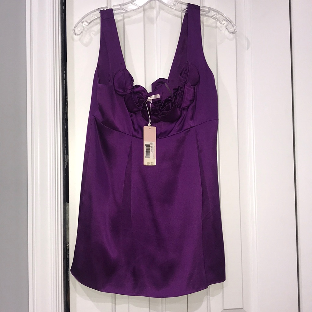 Nwt Rebecca Taylor Shirt
